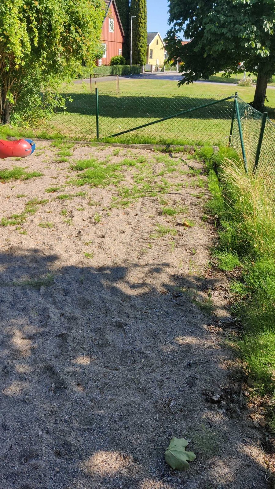 Igenvuxen fallsand
